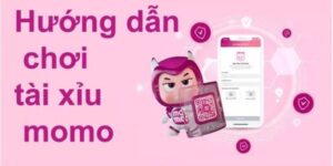 Bí kip săn thưởng khủng khi chơi tài xỉu momo