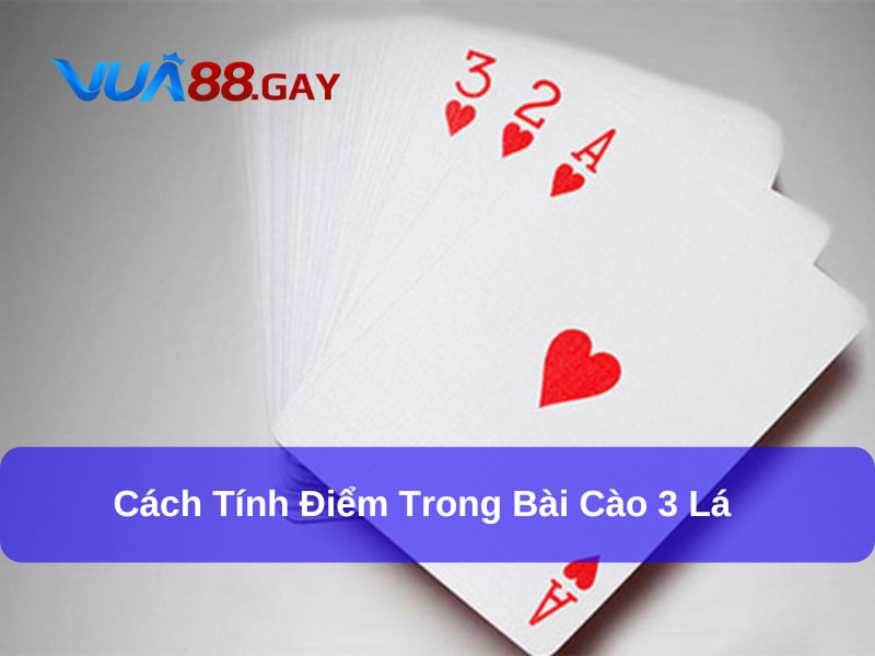 Luật chơi bài cào 3 lá cơ bản và điểm đặc biệt